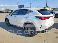 2024 Lexus NX фото