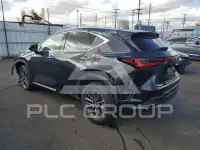 2024 Lexus NX фото