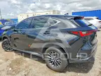 2024 Lexus NX фото