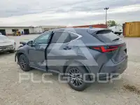 2024 Lexus NX250 фото