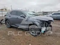 2024 Lexus NX фото