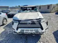 2024 Lexus GX photo