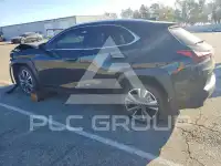 2024 Lexus UX фото