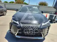 2024 Lexus UX фото