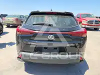 2024 Lexus UX фото