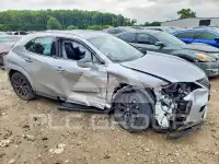 2024 Lexus UX фото