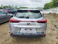 2024 Lexus UX фото