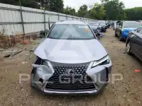 2024 Lexus UX фото