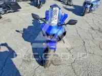 2024 Yamaha Other photo
