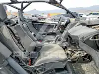 2024 Can-AM Sidebyside photo