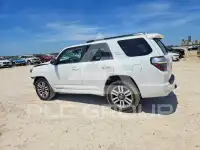 2024 Toyota 4 RUNNER photo