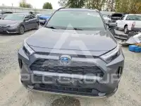 2024 Toyota RAV4 photo