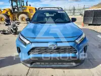 2024 Toyota RAV4 photo