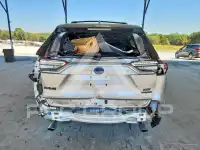 2024 Toyota RAV4 фото