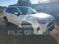 2024 Toyota RAV4 photo