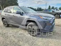 2024 Toyota RAV4 photo