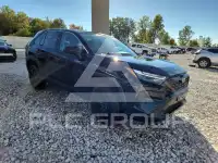 2024 Toyota RAV4 фото