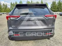 2024 Toyota RAV4 photo
