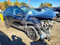 2024 Toyota RAV4 photo