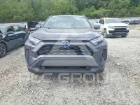 2024 Toyota RAV4 фото