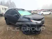 2024 Toyota RAV4 photo