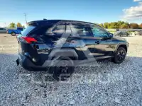 2024 Toyota RAV4 фото