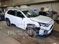 2024 Toyota RAV4 photo