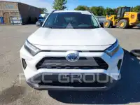 2024 Toyota RAV4 photo