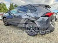 2024 Toyota RAV4 photo