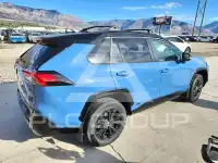 2024 Toyota RAV4 photo