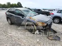 2024 Toyota RAV4 photo