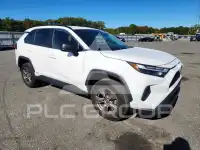 2024 Toyota RAV4 photo