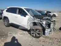 2024 Toyota RAV4 фото
