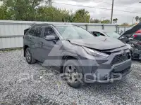 2024 Toyota RAV4 photo