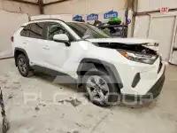 2024 Toyota RAV4 photo