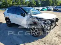 2024 Toyota RAV4 photo