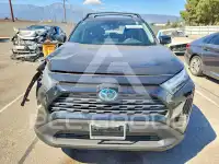 2024 Toyota RAV4 фото