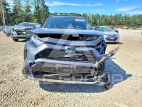 2024 Toyota RAV4 фото