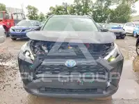 2024 Toyota RAV4 фото