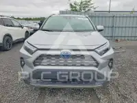 2024 Toyota RAV4 photo