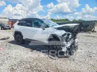 2024 Toyota RAV4 фото