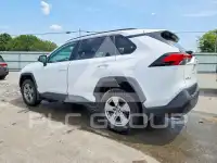 2024 Toyota RAV4 фото