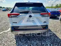2024 Toyota RAV4 фото