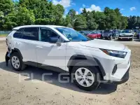 2024 Toyota RAV4 photo