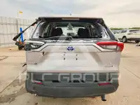 2024 Toyota RAV4 фото