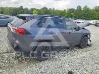 2024 Toyota RAV4 photo