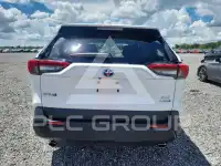 2024 Toyota RAV4 фото