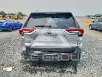 2024 Toyota RAV4 фото