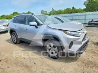 2024 Toyota RAV4 фото