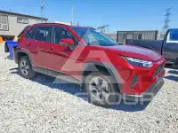 2024 Toyota RAV4 фото